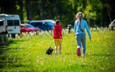 Children and dog walking on a sunny campsite