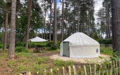 A yurt and stretch tent in a forest