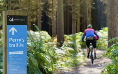 Man on cycle trail