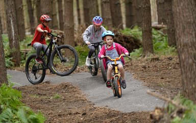 three children riding mountain bikes