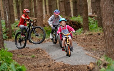 three children on bikes in the forest