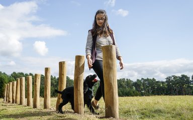 Lady walking dog on agility trail