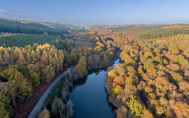 A drone image taken above Cannop Ponds
