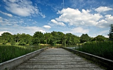 A wooden boardwalk stretches over the water at Cannop Ponds. Blue sky with white fluffy clouds.