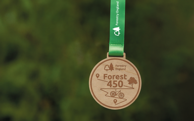 wooden medal