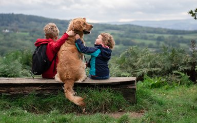 A boy and a girl sitting on a bench with a golden retriever