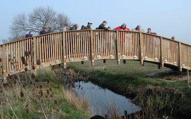 Community on bridge over small stream in woodland