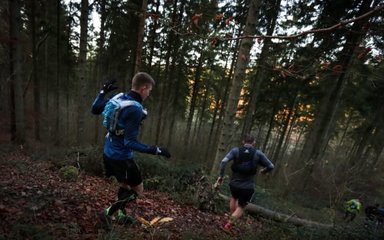 Runners on downhill slope off path in the forest