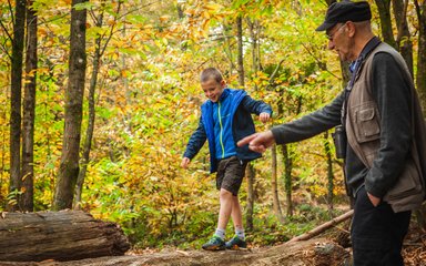 Child and grandparent playing on a log in the forest