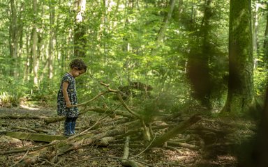 Child looking down at the forest floor in front of beautiful greenery