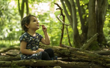 Toddler exploring the forest 