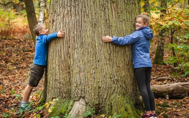 Two children hug a large tree trunk.