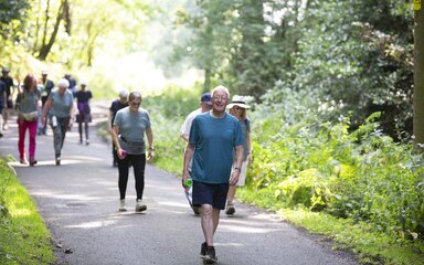 group of people walking through the forest on a sunny day