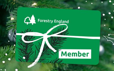 Christmas membership giftcard