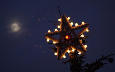 Close-up of star on top of an outdoor Christmas tree, with lights.