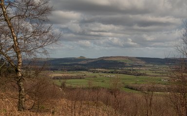 A view of arable land with Roseberry Topping in the skyline