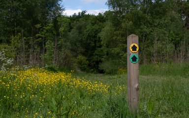 A waymarker post with two arrows on in front of a forest backdrop. The top arrow is black with a yellow circle background. The bottom arrow is black with a green circle background.