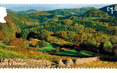 Coed y Brenin stamp