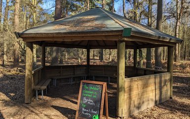 A roofed shelter in the woods being benches running around the inside edge.