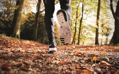 Running on forest trail