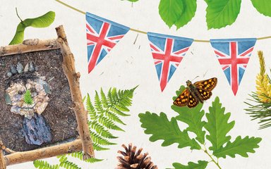 Graphic featuring leaves, Union Jack bunting, a butterfly and some woodland art.