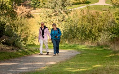 A couple walking hand in hand with a camera in the national pinetum