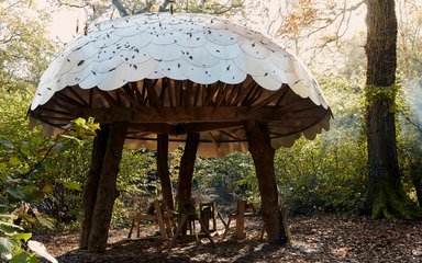 woodworking shelter within woodland