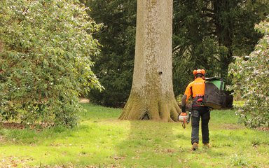 STIHL Westonbirt