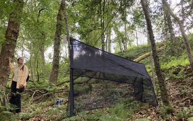 Net set up in woodland to collect samples