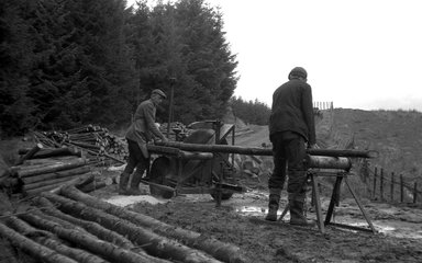 A black and white archive image from 1961 showing two men operating a mechanical saw and cutting Sitka spruce, with logs piled up