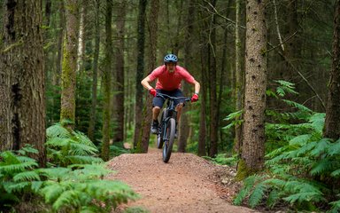 Man on mountain bike in a forest