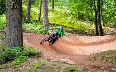 Rider on cycling trail in the Forest of Dean