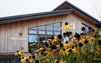 Delamere Forest visitor centre with yellow flowers in the foreground.