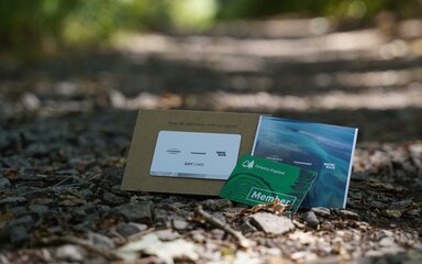 Gift card for Runners Need and Forestry England membership card displayed on a gravel forest path, with a brochure behind them and a softly blurred woodland background.