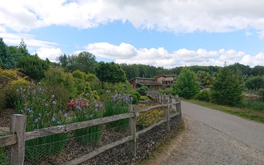 Bedgebury National Pinetum visitor centre in summer