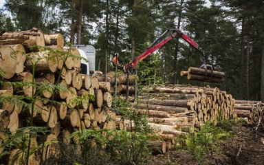 Timber lorry picking up logs from a stack in the forest