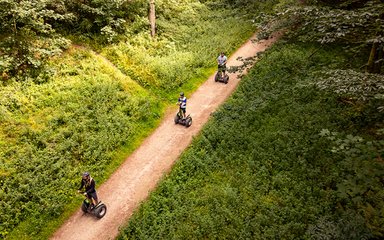 Go ape dalby forest segway 
