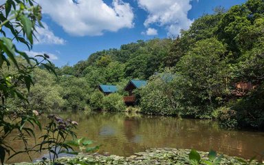 Forest Holidays at Deerpark, Cornwall 