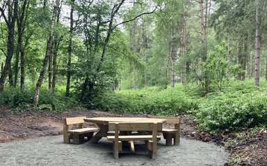 A wooden picnic table with benches shown in a forest clearing.