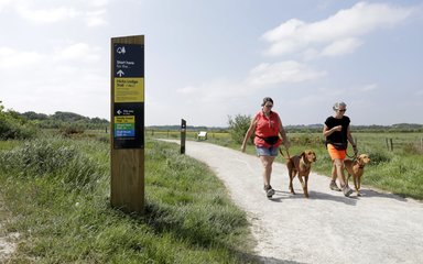 Walkers with dogs at Hicks Lodge on a summers day