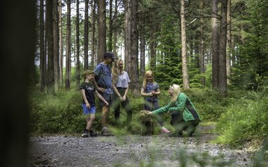 Group walking a dog in the forest