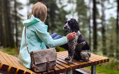 A woman in a light blue waterproof coat sat facing away from the camera on a wooden forest bather. A spaniel is sitting next to her.