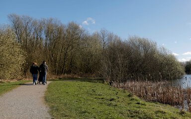 Couple walking next to pond on sunny day 