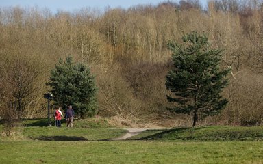 Manchester woodland, couple walking on path