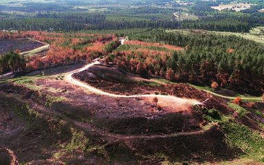 Drone footage of Wareham Forest fire