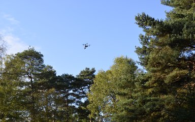 A drone flying through the forest