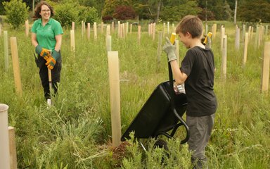 A boy with a wheel barrow tips mulch around a sapling, whilst a smiling FE staff member in green watches on