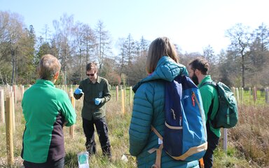 Collecting soil samples on the planting site.