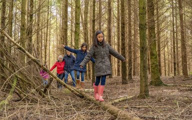 Children walking along a log in the forest