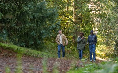 Three friends walk through the forest